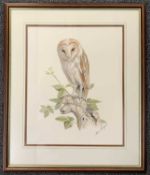 Brian Bedford (British, 20th century), Barn Owl perched on a tree branch, watercolour, signed,