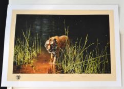 David Shepherd (British,1931-2017), 'Jungle Gentleman', limited edition chromolithograph, numbered