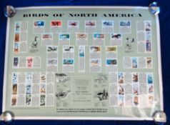 Trade issue, Brooke Bond (Canada), special issue rolled poster featuring the Birds of North