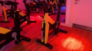 Technogym Spin Bike