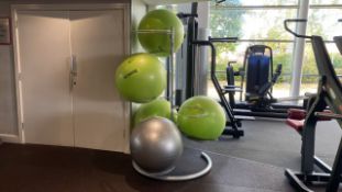 Standing 7 Fitness Ball Rack