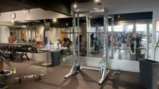 Technogym Squat/Bench Rack