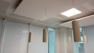 Pendant Ceiling Lights x2
