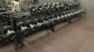 Dumbbell Rack