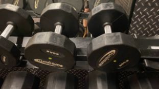 Eurosport Dumbbell 20kg X2