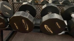Eurosport Dumbbell 22.5kg X2