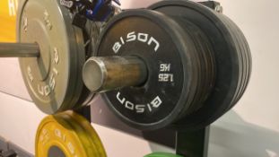 Bison 1.25Kg Bumper Weight Plate X4