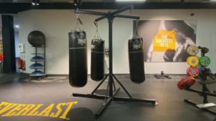 Everlast Boxing Bag Rig