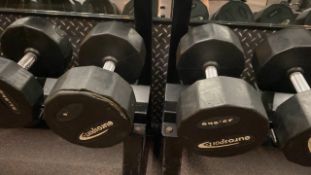Eurosport Dumbbell 32.5kg X2