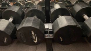 Eurosport Dumbbell 45kg X2
