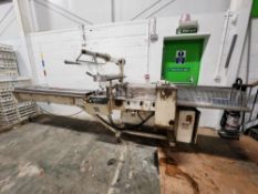 APV Flowpak Conveyor