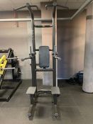 Technogym Element Plus Chin Up Dip Leg Raise