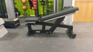 Technogym Reclining Bench
