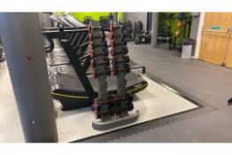 Dumbbells including shelf