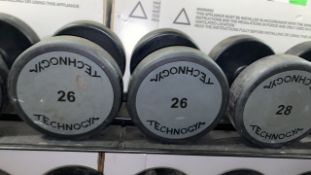 Technogym 26kg Dumbbell X2