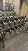 Technogym Dumbbells and shelf