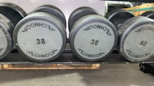 Technogym 38kg Dumbbell X2