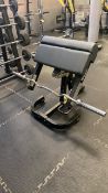 Technogym arm curl