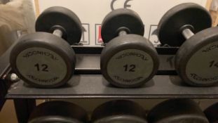 Technogym 12kg Dumbbell X2