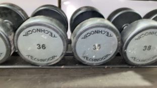Technogym 36kg Dumbbell X2