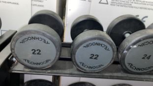 Technogym 22kg Dumbbell X2