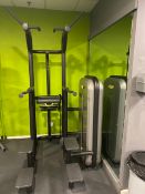 Technogym Element Plus Kneeling Easy Chin Dip
