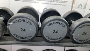 Technogym 24kg Dumbbell X2