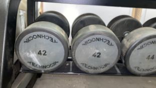 Technogym 42kg Dumbbell X2