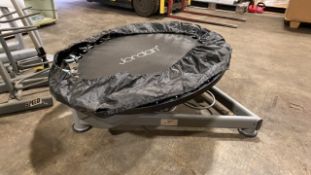 Jordan Medicine Ball Rebounder