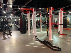 Escape Octogon Fitness Frame