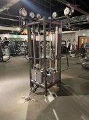 Technogym 4 Stack Multi-Station