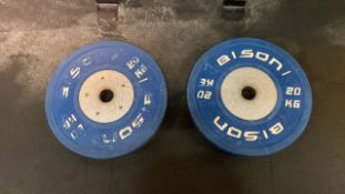 Bison 20kg Weight Plate X2