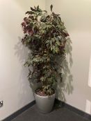 Faux-Plant