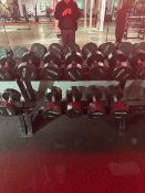 Dumbbells Weight Rack