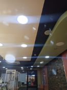 Ceiling lights