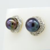 Black pearl and diamond rosette earrings in 9ct yellow gold, boxed