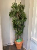 Fake Plant