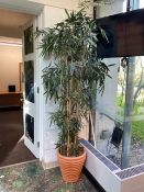 Fake Plant