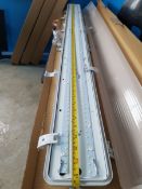 1 x 5ft long IP65 6600 lumen cool white twin led 5000k ceiling light.