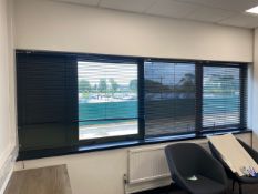 Sun Vista Venetian Blind X3