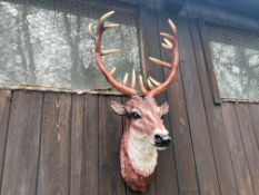 Wall Mounted Deer Head