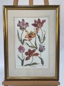 Set of 4 Botanical Prints
