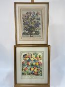 Set of 4 Botanical Prints