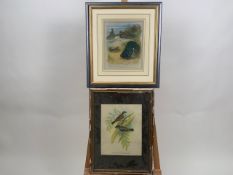 Set of 3 Bird Prints