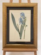 Trio of Original Still Life Drawings