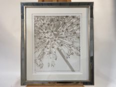 Series of Greyscale Photgraphs