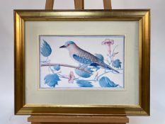 Set of 3 Bird Illustrations