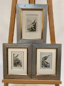 Set of 3 Classic Bird Illustrations