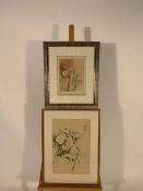 Set of 4 Botanique Themed Printa