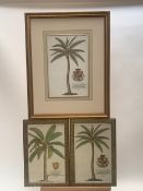 Set of 3 Botanical Prints